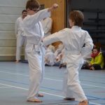karate-120