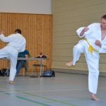 karate-138