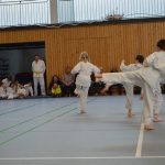 karate-163