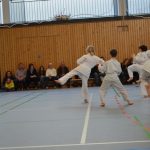 karate-167