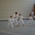 karate-181