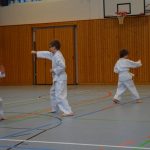 karate-92